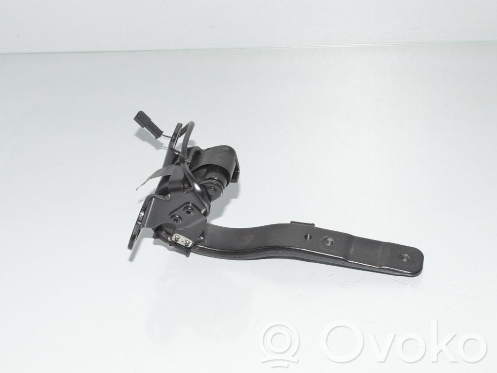 Tailgate/trunk/boot hinge   7296774,51247296774