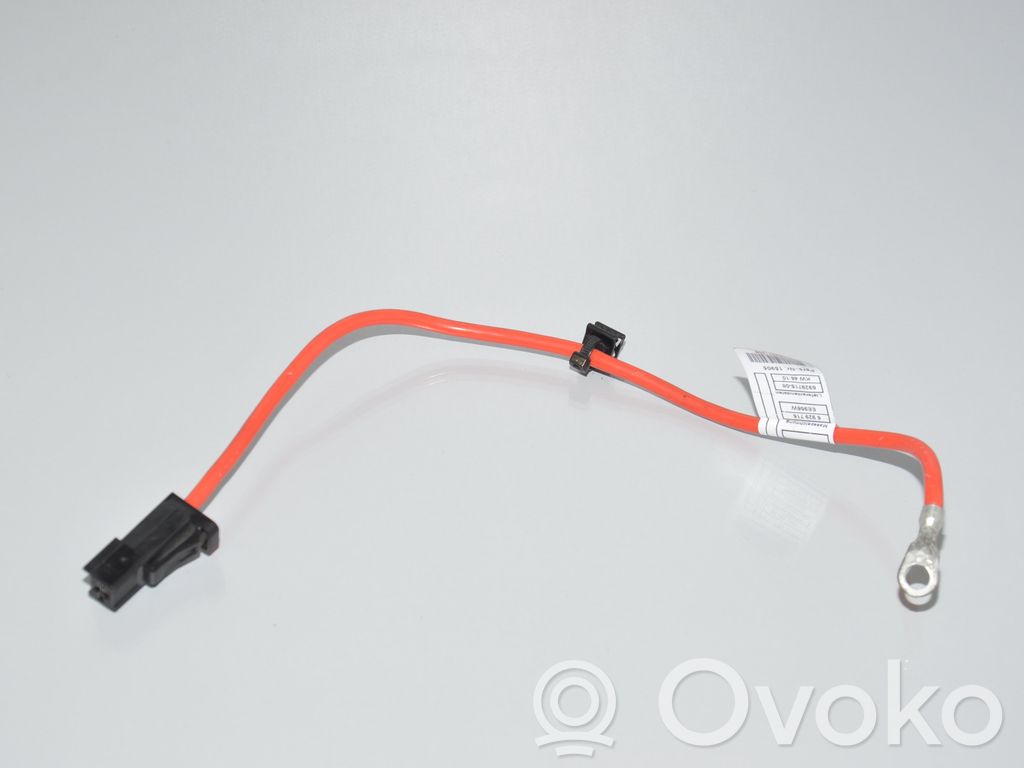 BMW 1 E81 E87 Pliusinis laidas (akumuliatoriaus) 