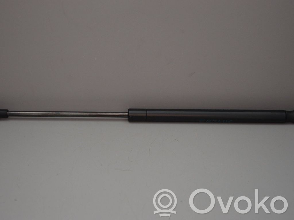 Tailgate/trunk strut/damper   7008764