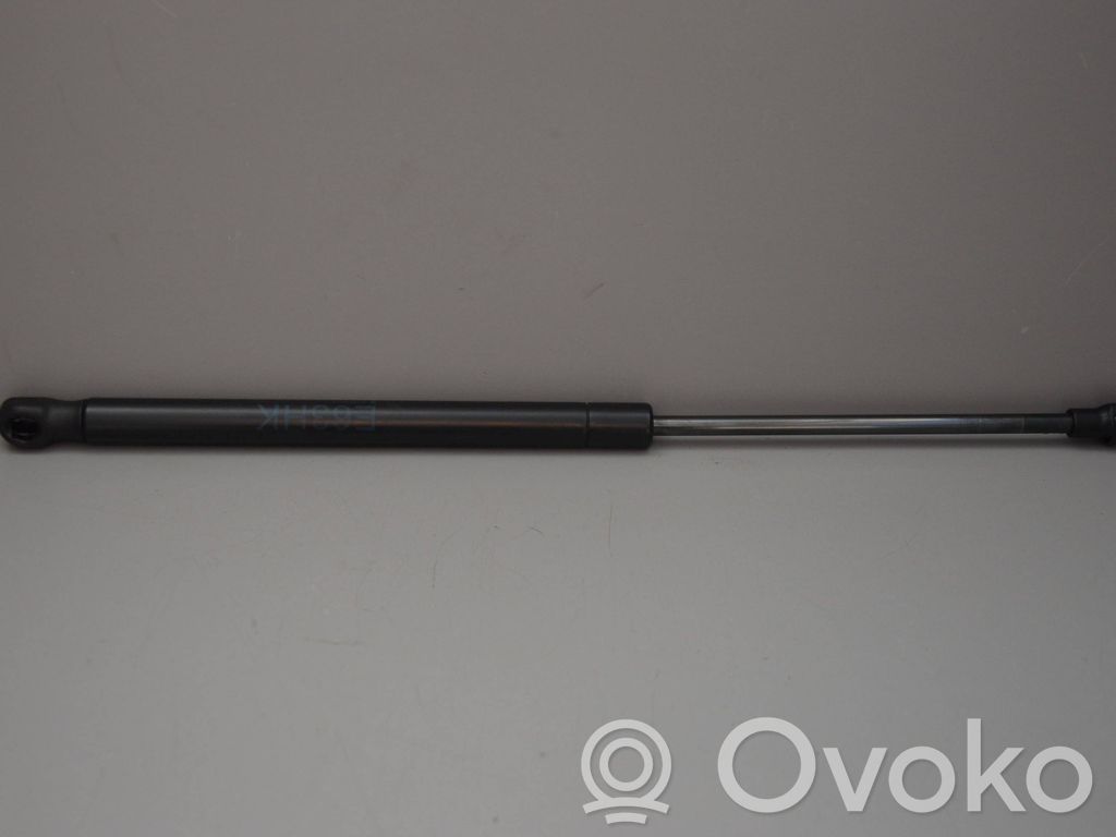 Tailgate/trunk strut/damper   7008764