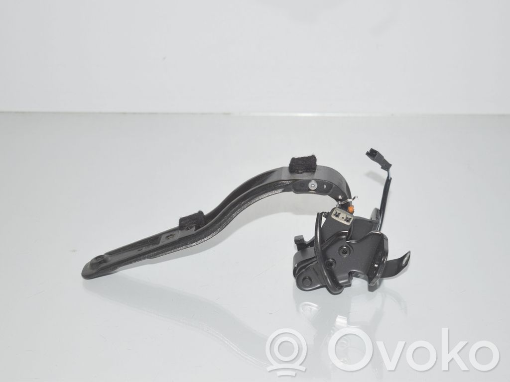 BMW i3 Tailgate/trunk/boot hinge 