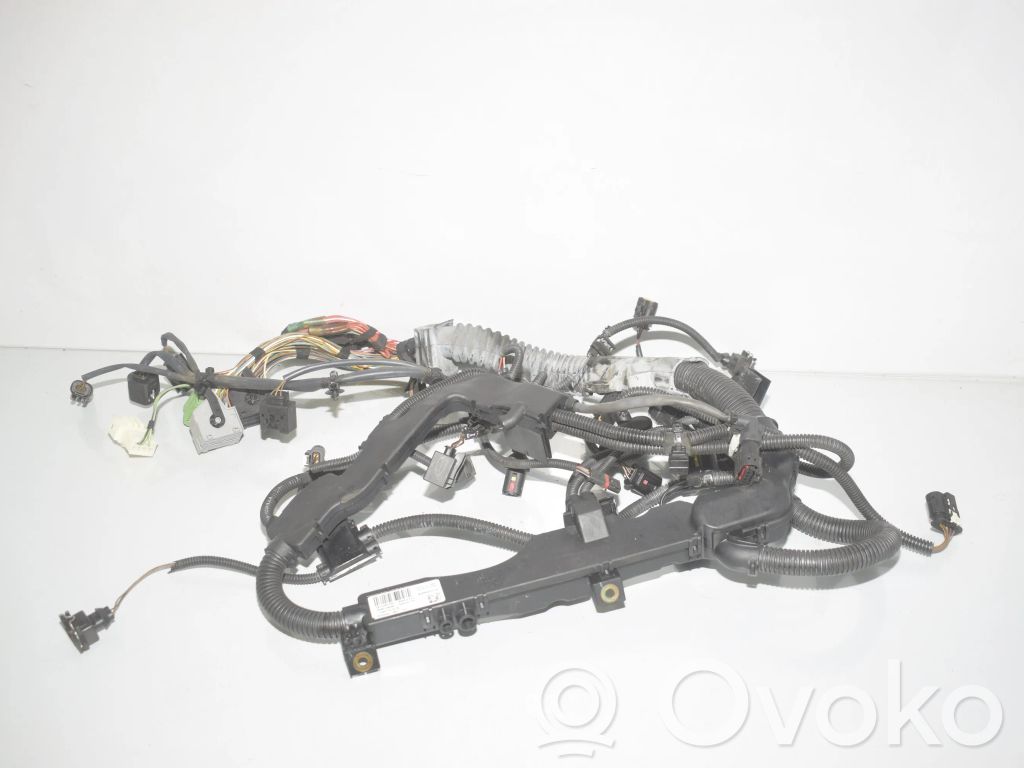 Engine installation wiring loom   7812507,7808248,12517812507