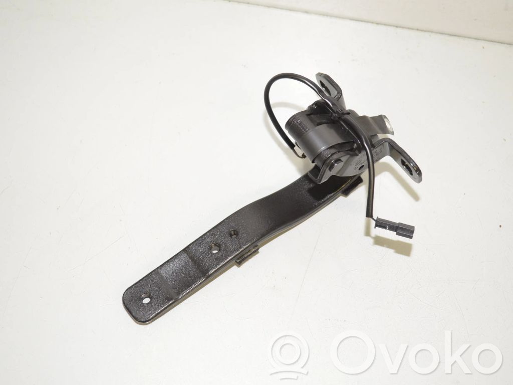 BMW i3 Tailgate/trunk/boot hinge 