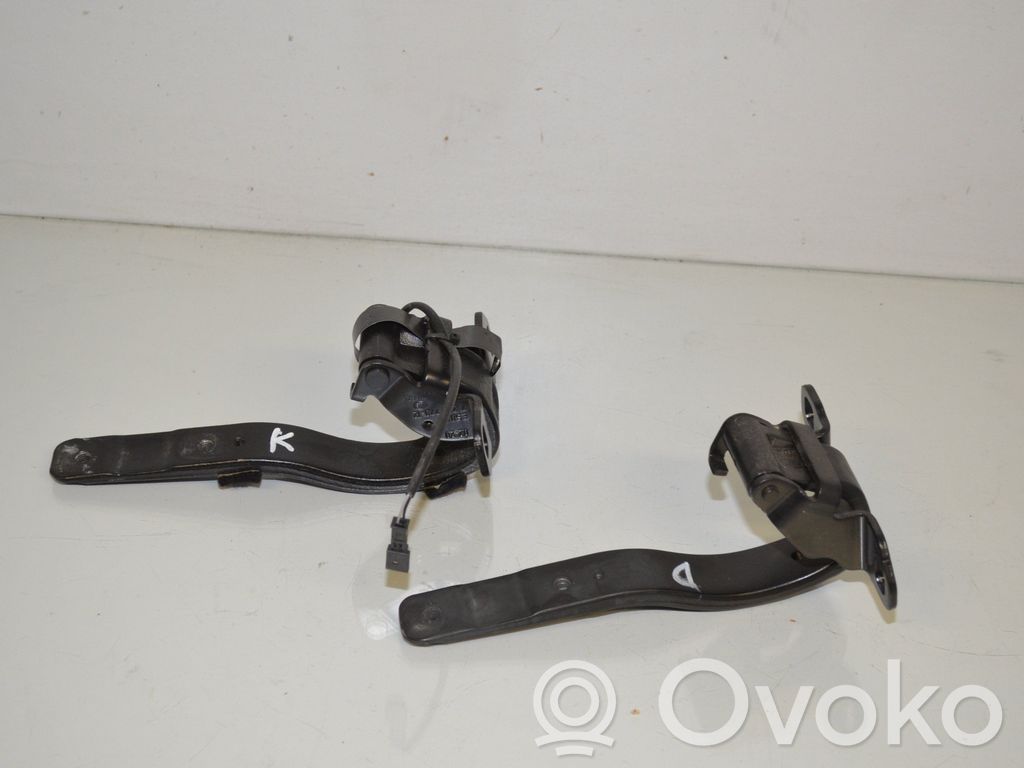 Tailgate/trunk/boot hinge   7296774,7296773,51247296774,51247296773