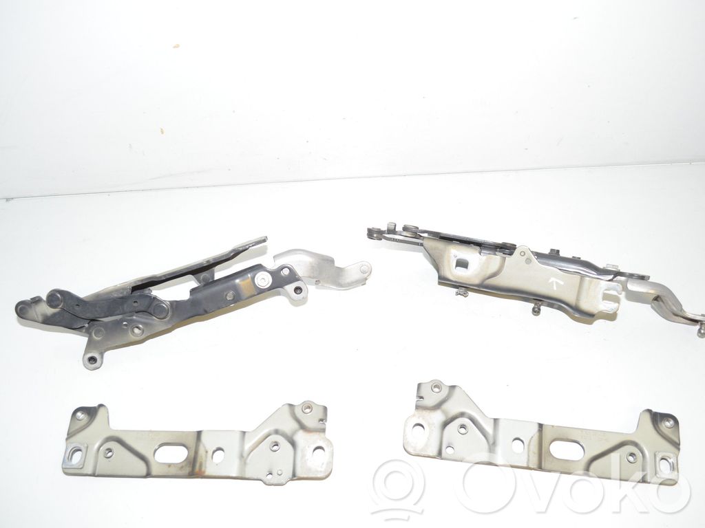 BMW 5 F10 F11 Scharnier Motorhaube 