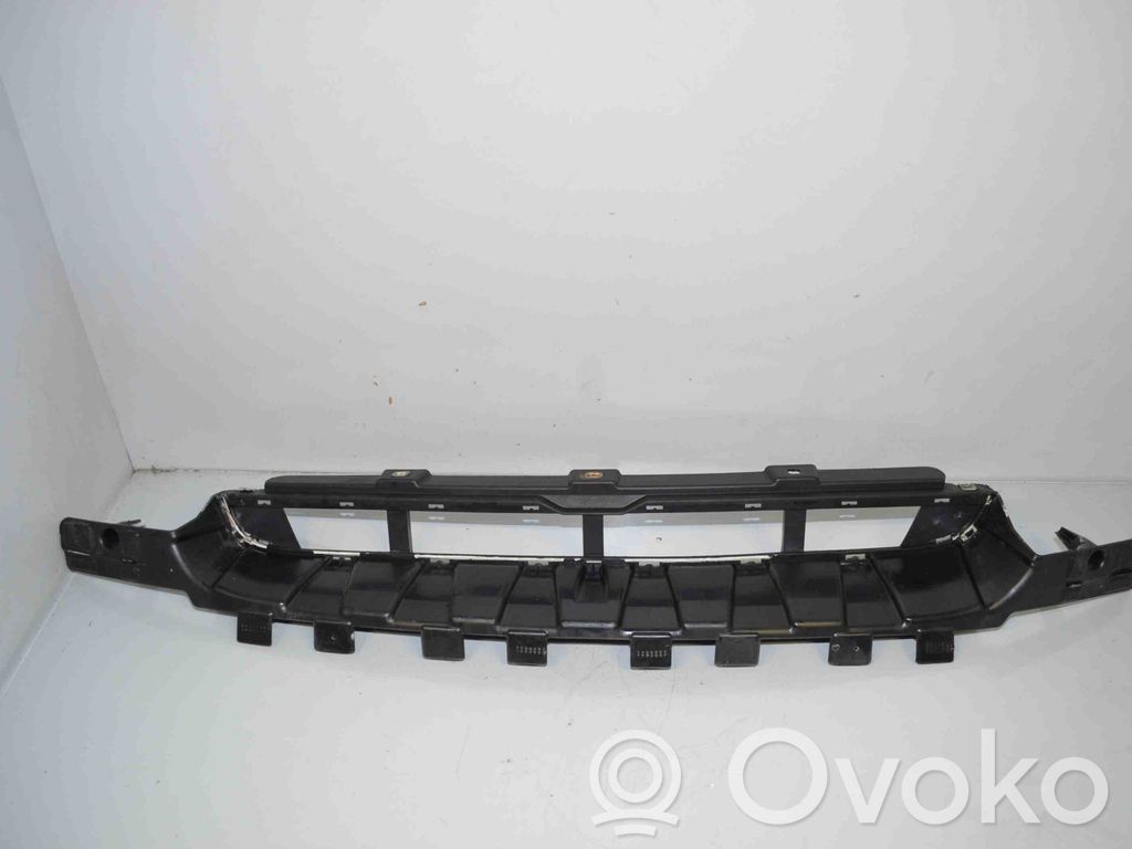 BMW X6 E71 Front bumper lower grill 