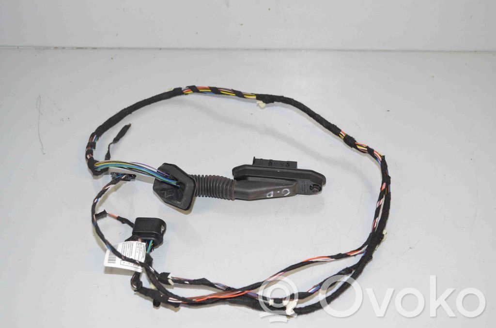 Cableado de puerta trasera   9269959,61129269959