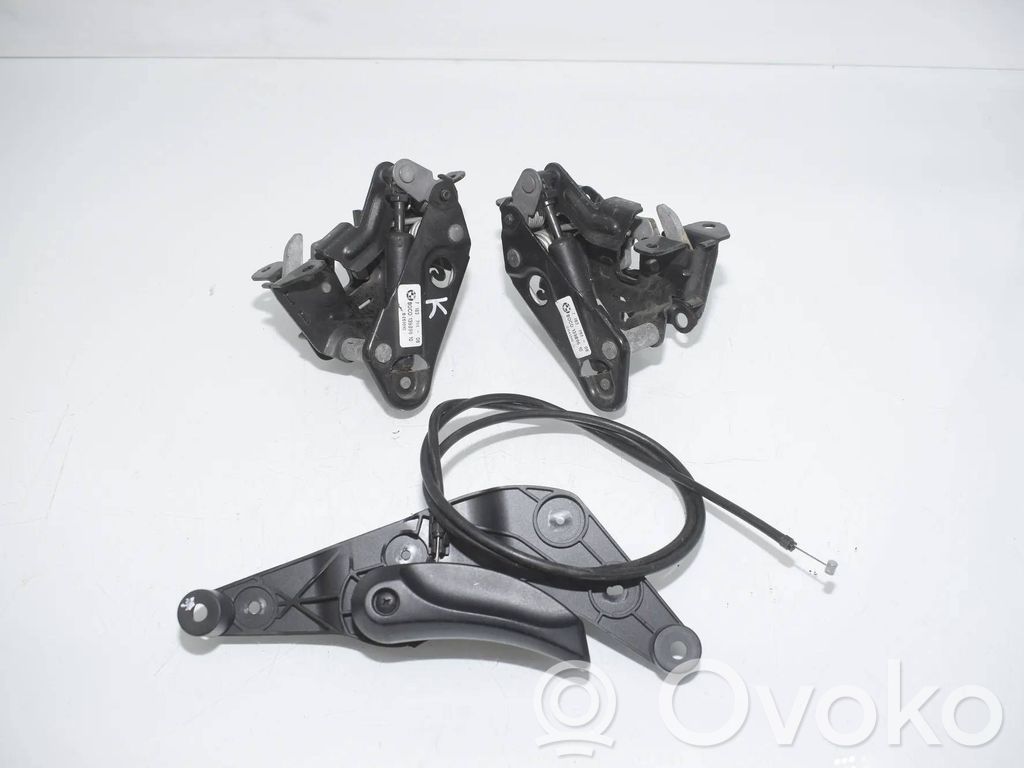 BMW 5 GT F07 Engine bonnet/hood lock/catch 