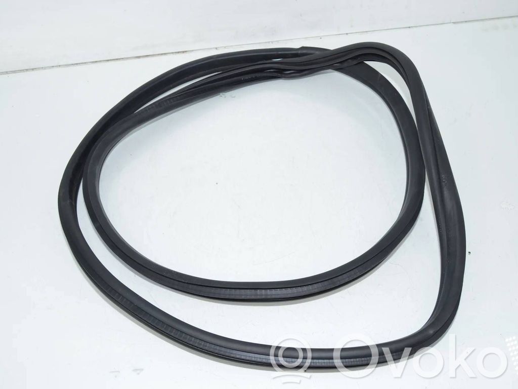 BMW 3 G20 G21 Cheder ușă spate (caroserie) 