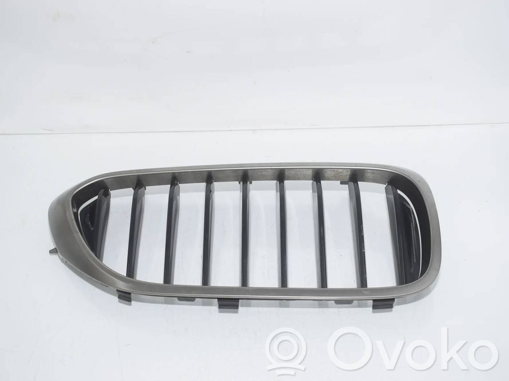 BMW 5 G30 G31 G38 Griglia anteriore 