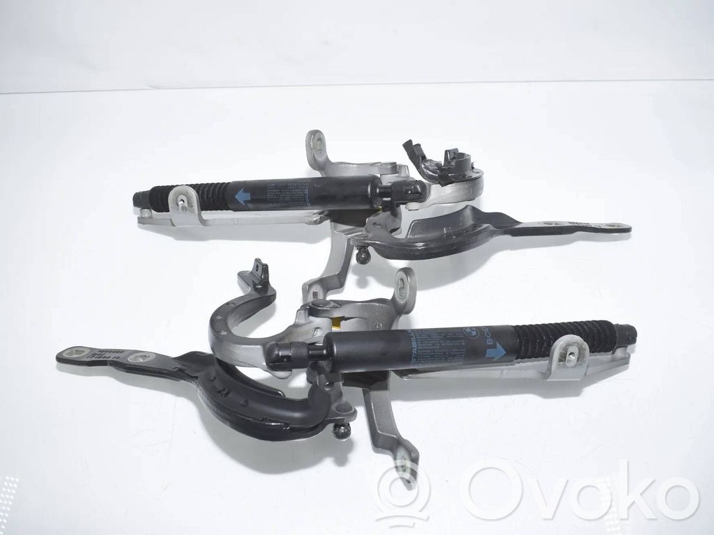 BMW 5 F10 F11 Balama hayon/portbagaj/oblon 