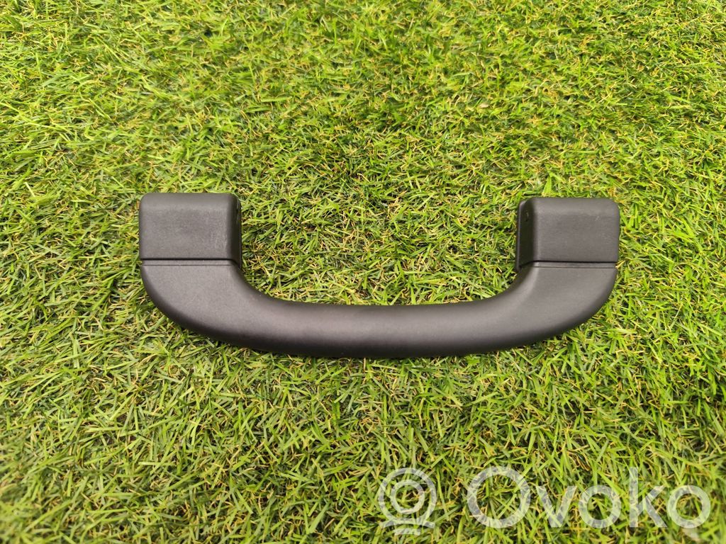 Asidero interior delantero   9143516
