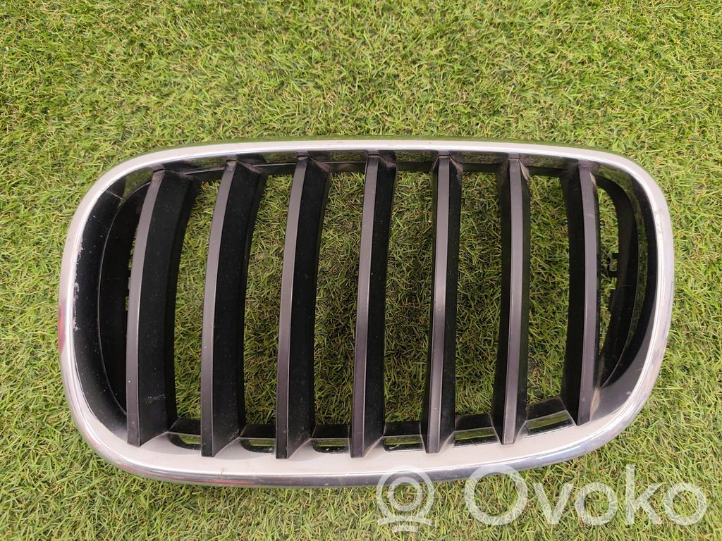 BMW X5 E70 Front bumper upper radiator grill 