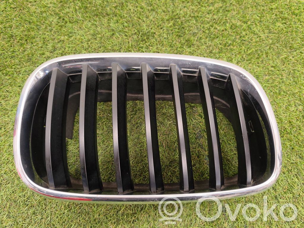 BMW X5 E70 Front bumper upper radiator grill 