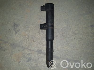 Renault Scenic II -  Grand scenic II High voltage ignition coil 