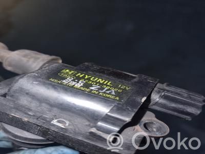 Hyundai Sonata High voltage ignition coil 