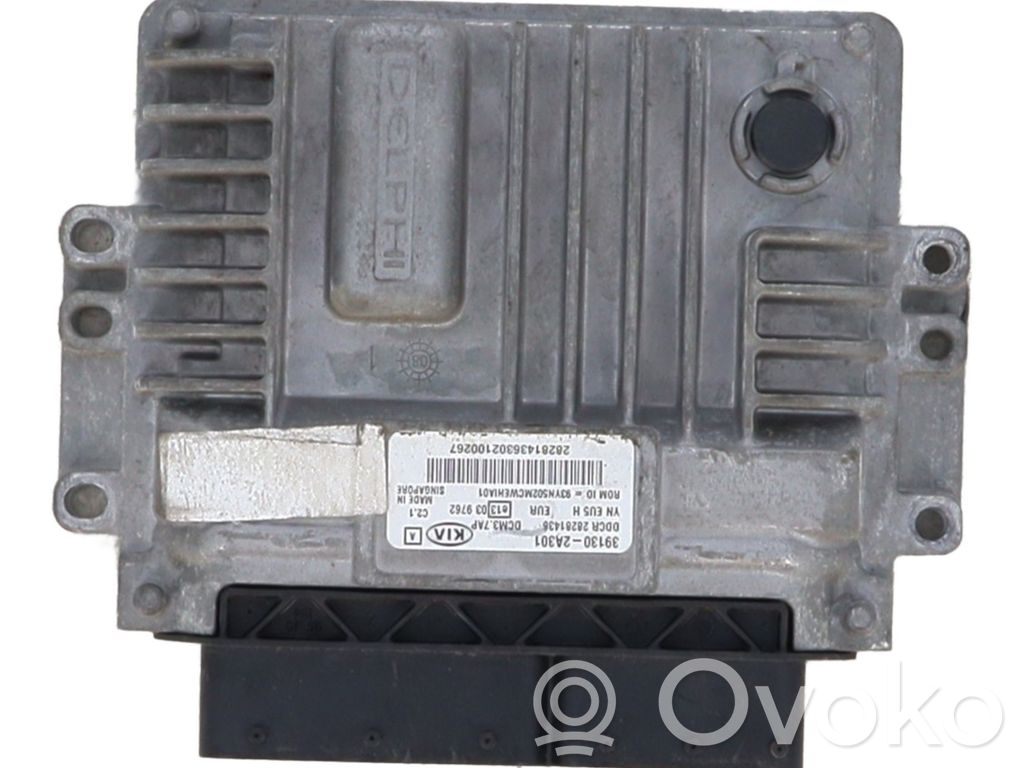 Engine control unit/module   391302A303