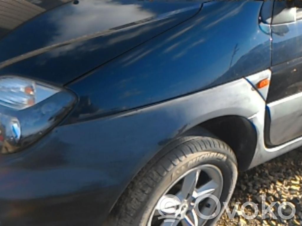 Renault Scenic I Guardabarro 