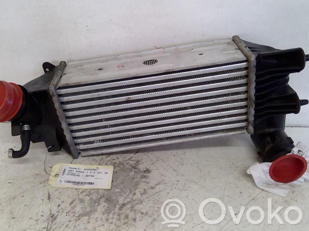 Peugeot 607 Starpdzesētāja radiators 