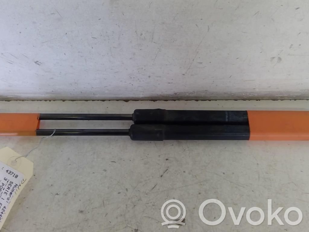 Tailgate/trunk strut/damper   51247060622