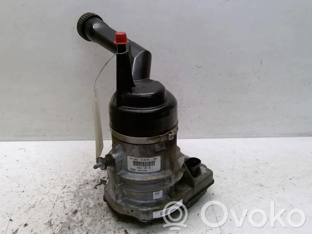 Ohjaustehostimen pumppu   4008F3,DP5019