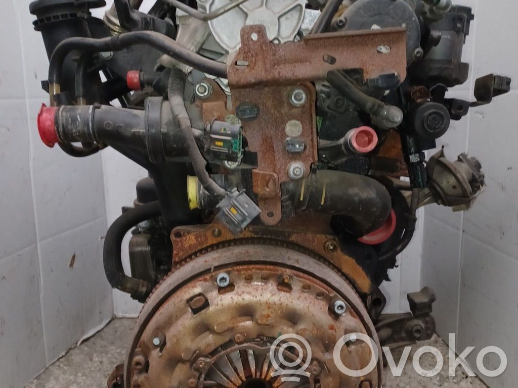 Motor   0135QG,RHRH