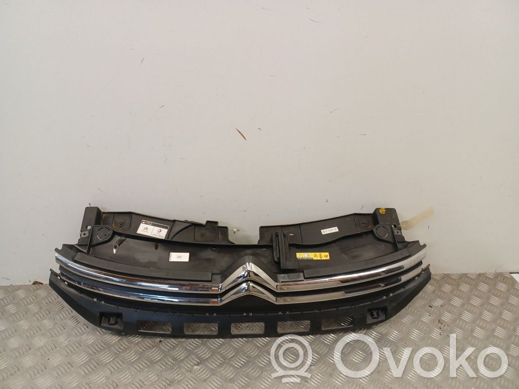 Front grill   98120634XT