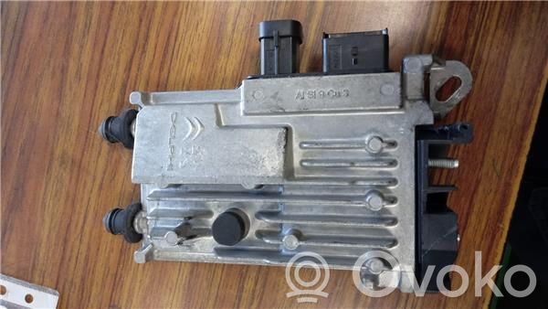 Engine control unit/module ECU