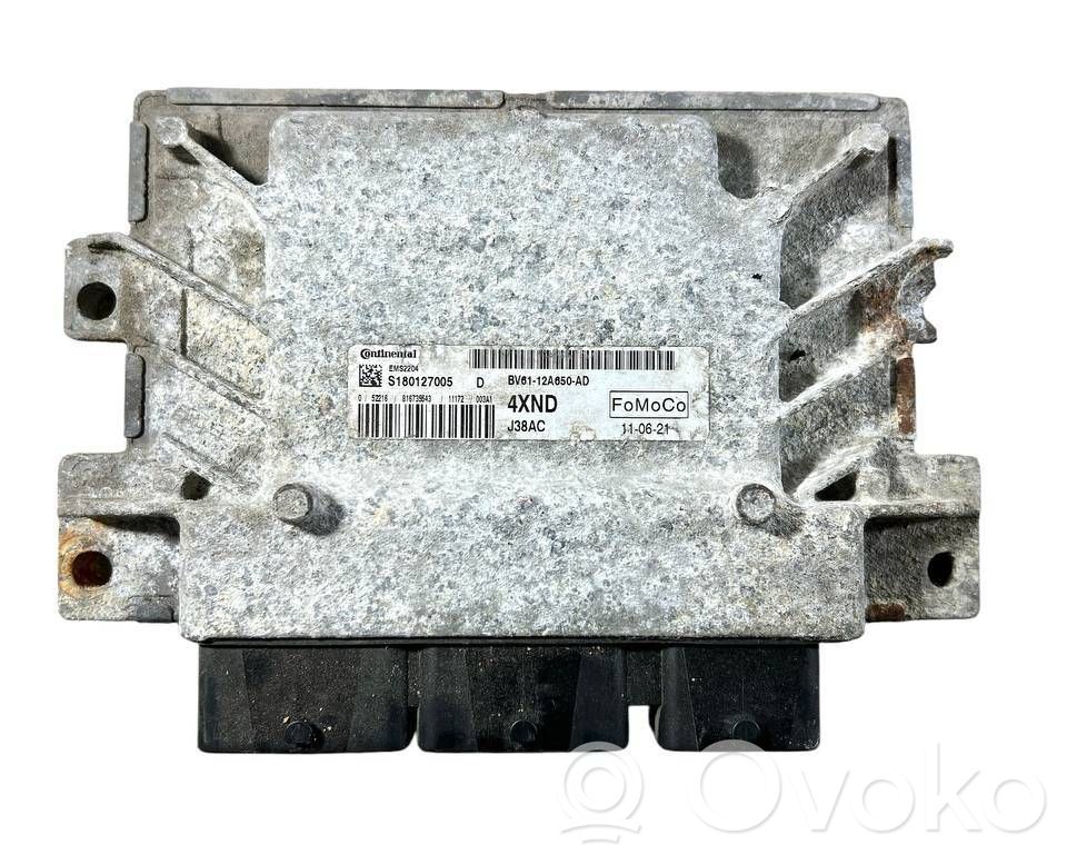 Ford Focus Engine control unit/module 