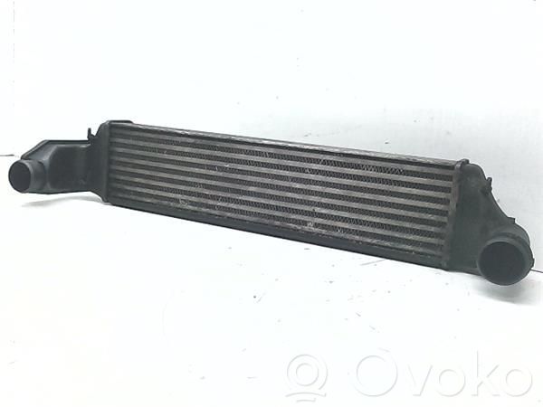Interkūlerio radiatorius   17512246795,817874