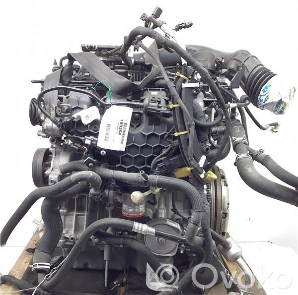 Ford Focus Motore 
