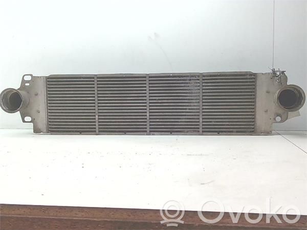 Volkswagen Multivan T5 Radiatore intercooler 