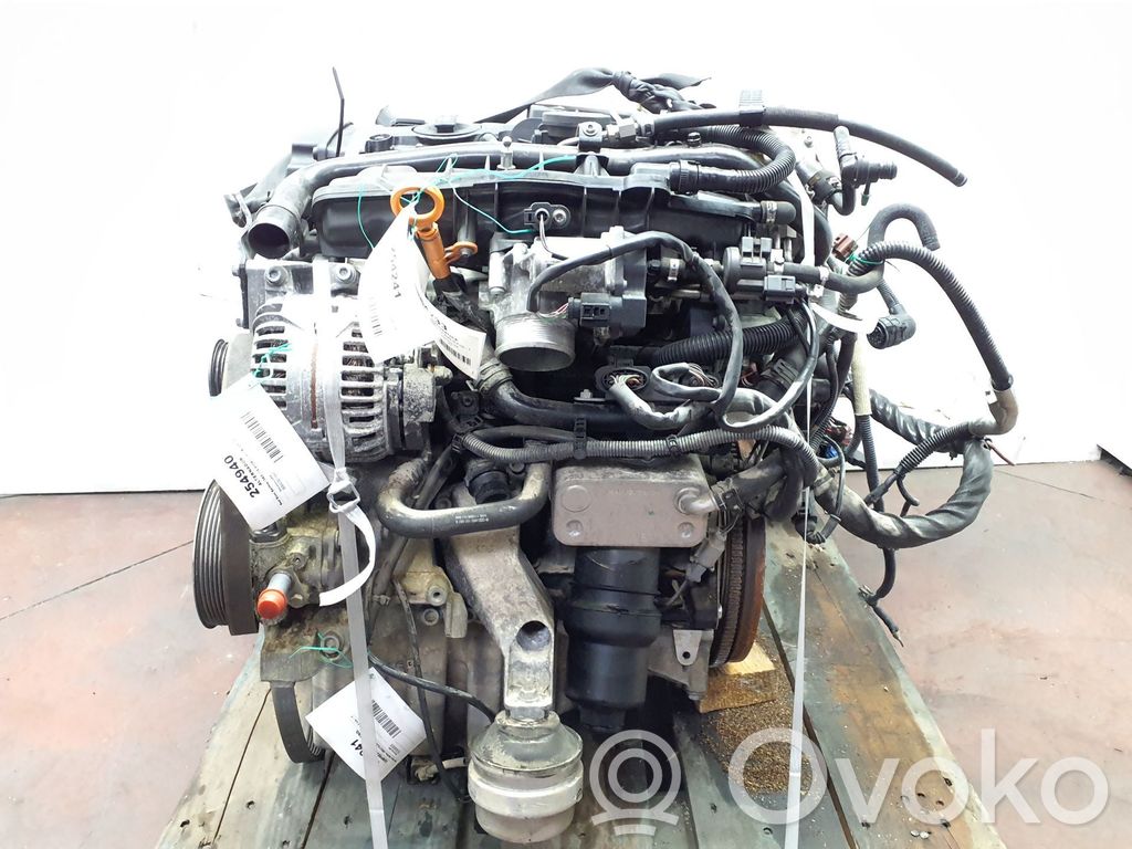 Moottori   06D100033G,BWE