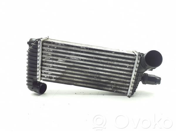 Intercooler radiator   2027395,BV619L440CK