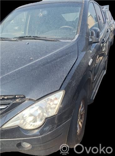 SsangYong Actyon Galinės durys 