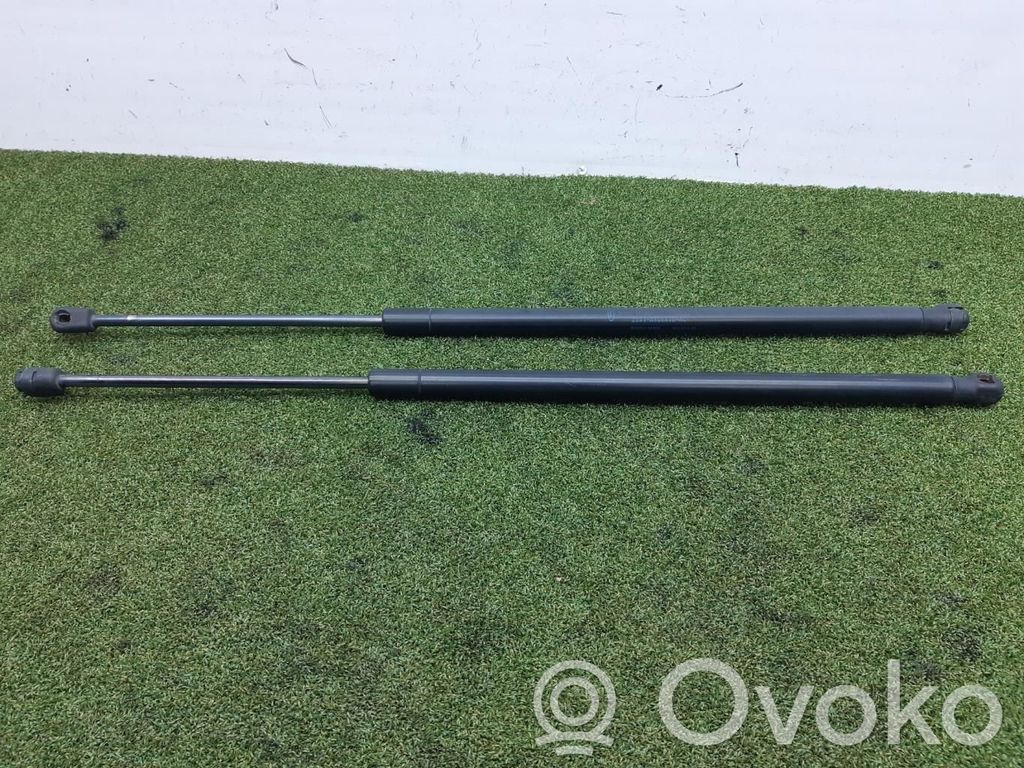 Ford Fiesta Tailgate/trunk strut/damper 