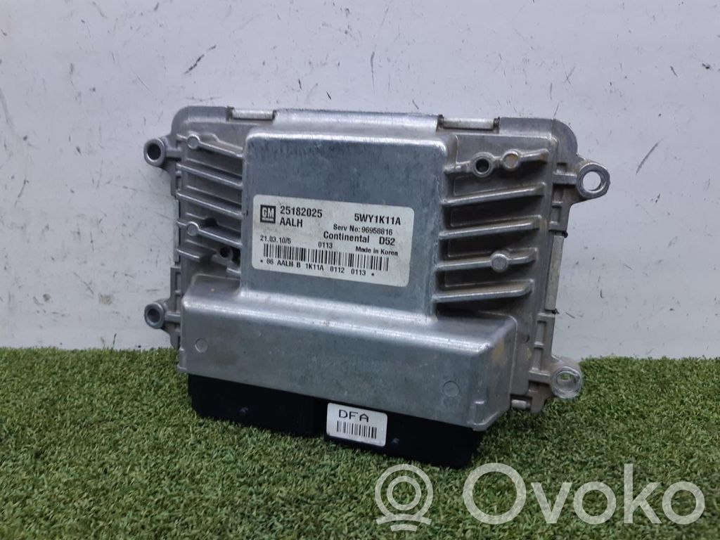 Engine control unit/module ECU   25182025