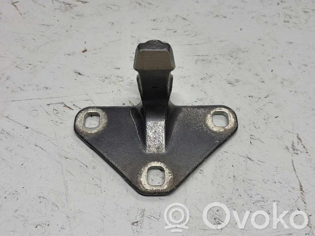 BMW X5 E70 Tailgate/trunk/boot hinge 