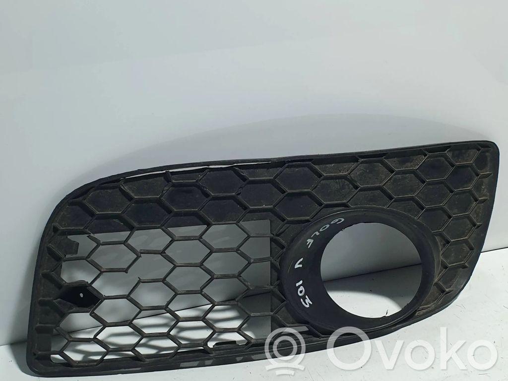 Volkswagen Golf IV Mascherina inferiore del paraurti anteriore 