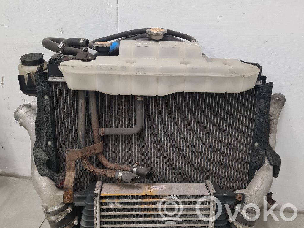 Renault Maxity Radiatorių panelė 