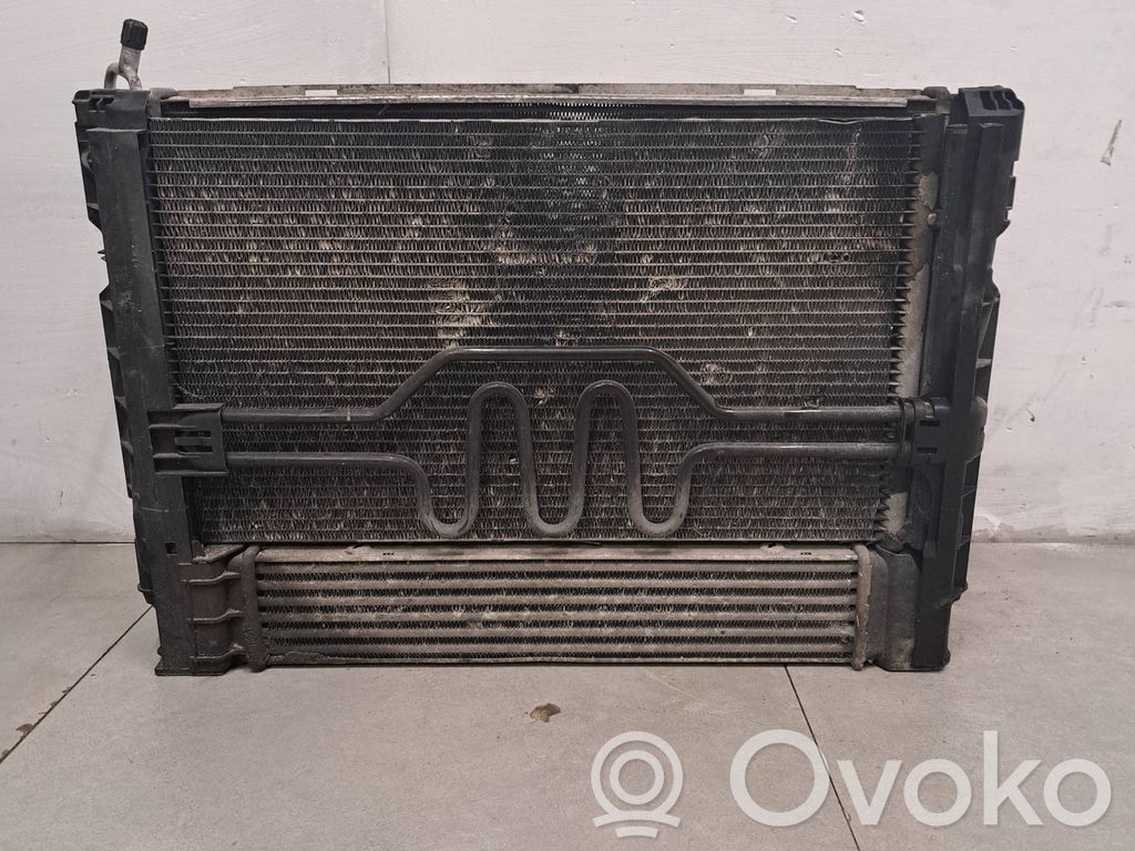 BMW 3 E90 E91 Aušinimo skysčio radiatorius 