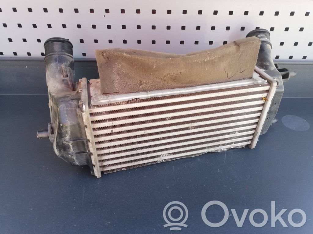 Interkūlerio radiatorius   GN1119E839AC,GN1119E839AC