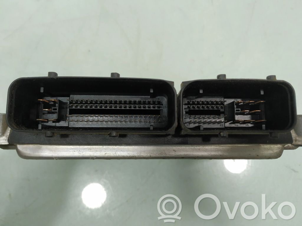 Seat Ibiza III (6L) Engine control unit/module 