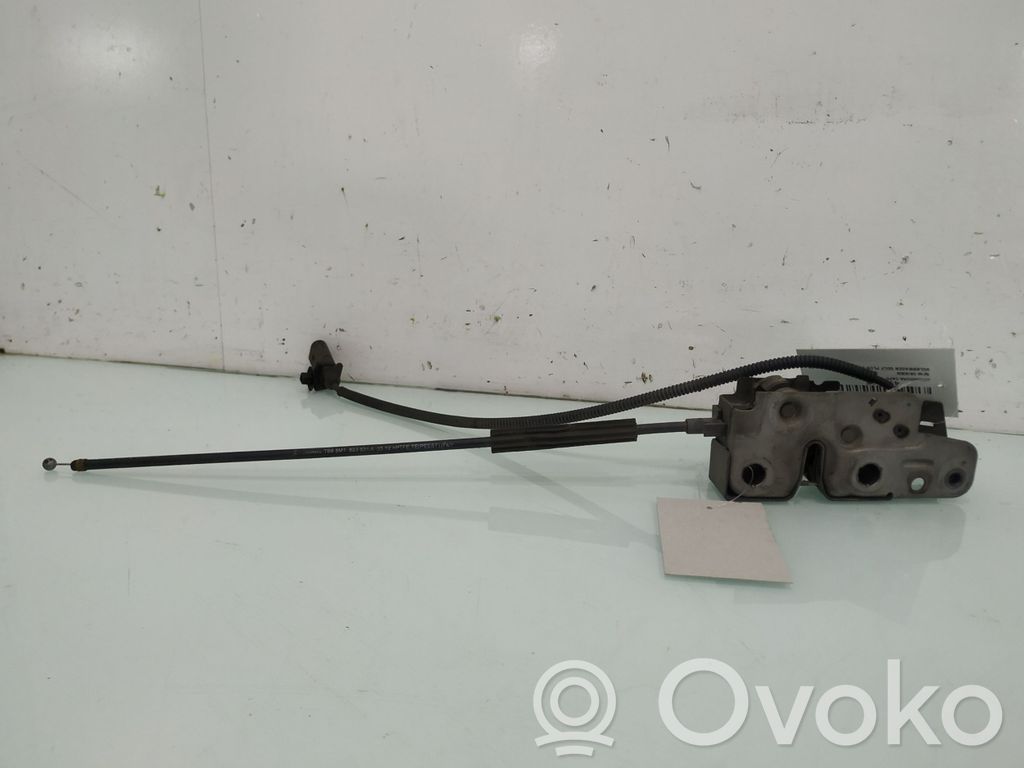 Tie down hook / loop   5M1823509