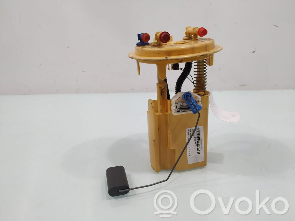 Citroen C3 In-tank fuel pump 