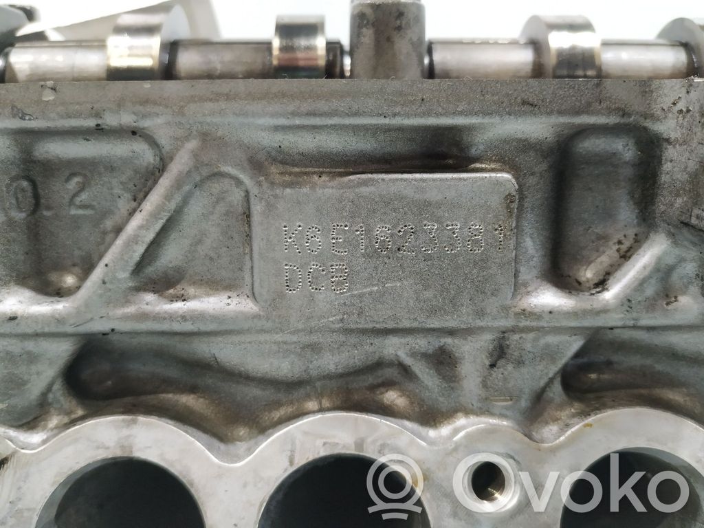 Galvutė   221112A100