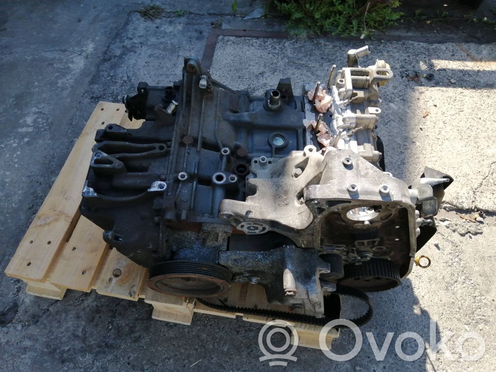 Variklis   Z19DTH