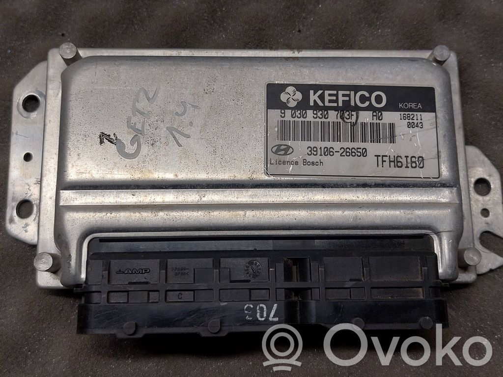 Hyundai Getz Engine control unit/module 