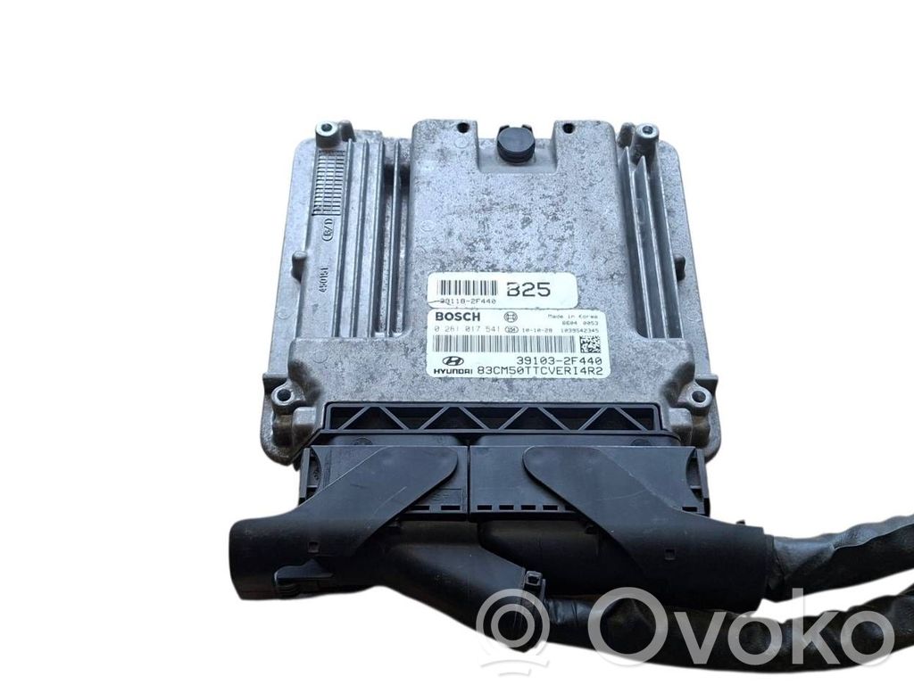 Hyundai Santa Fe Engine control unit/module 