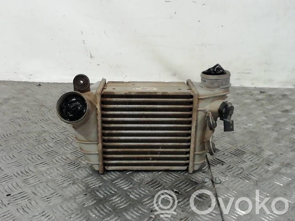 Audi TT Mk1 Interkūlerio radiatorius 